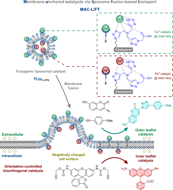 figure 34