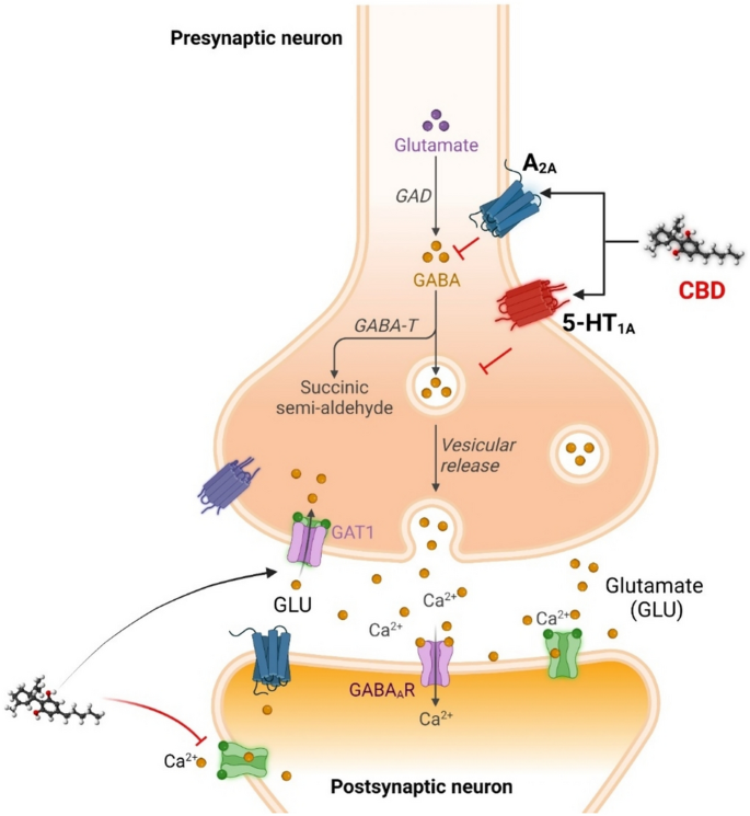 how much ipamorelin to take daily how much bpc 157 to inject daily cjc 1295 vs bpc 157 CJC-1295/Ipamorelin  Dosage Protocol: The Complete Clinical Guide to Dosing,