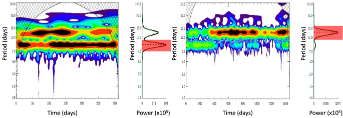 figure 32