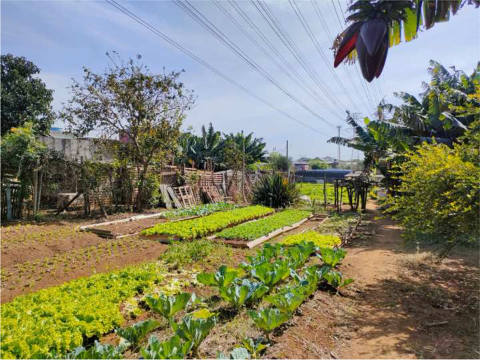 São Paulo's favelas are running out of food. These women are stepping in.