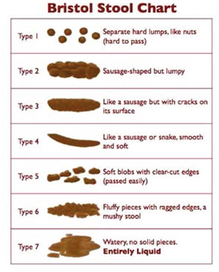 Feiten En Fabels Over Voeding Bij Diarree En Obstipatie Springerlink