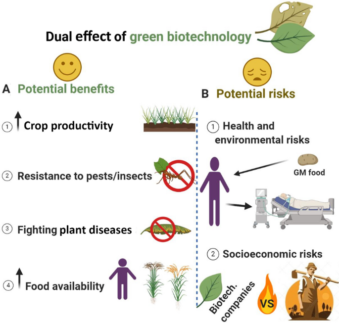 Pros and cons of using green biotechnology to solve food insecurity and achieve sustainable development goals | SpringerLink Pros and cons of using green biotechnology to solve food insecurity and achieve sustainable development goals | SpringerLink