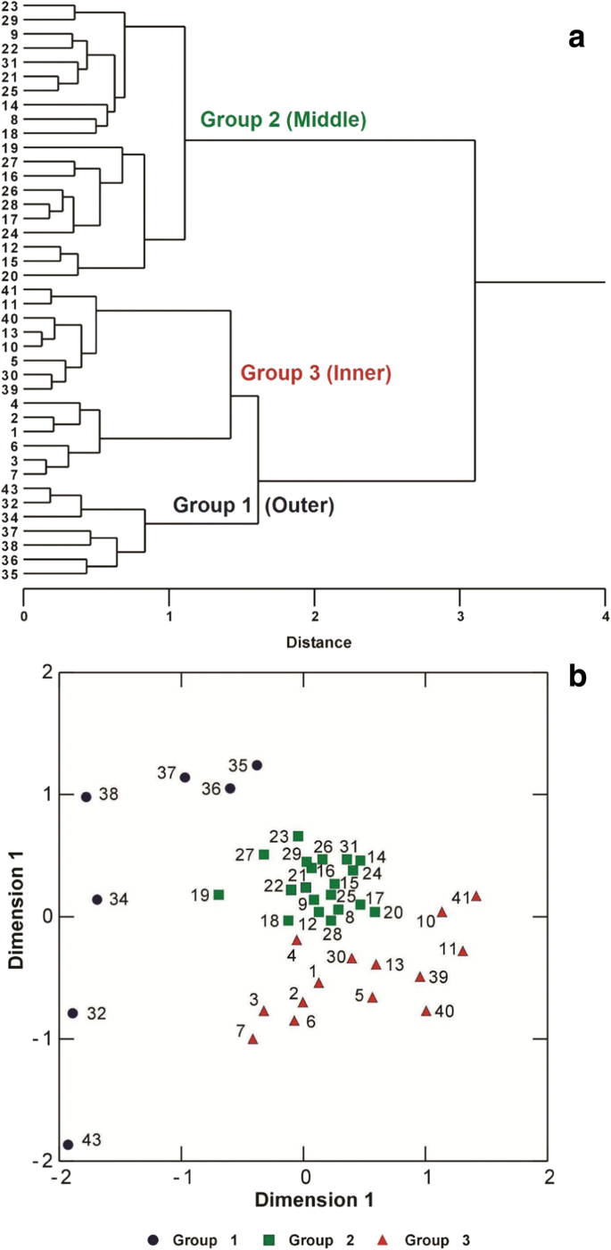 Community Structure and Spatial Patterns of Soft-Bottom Macrozoobenthos in  Oualidia Lagoon, Moroccan Atlantic | SpringerLink