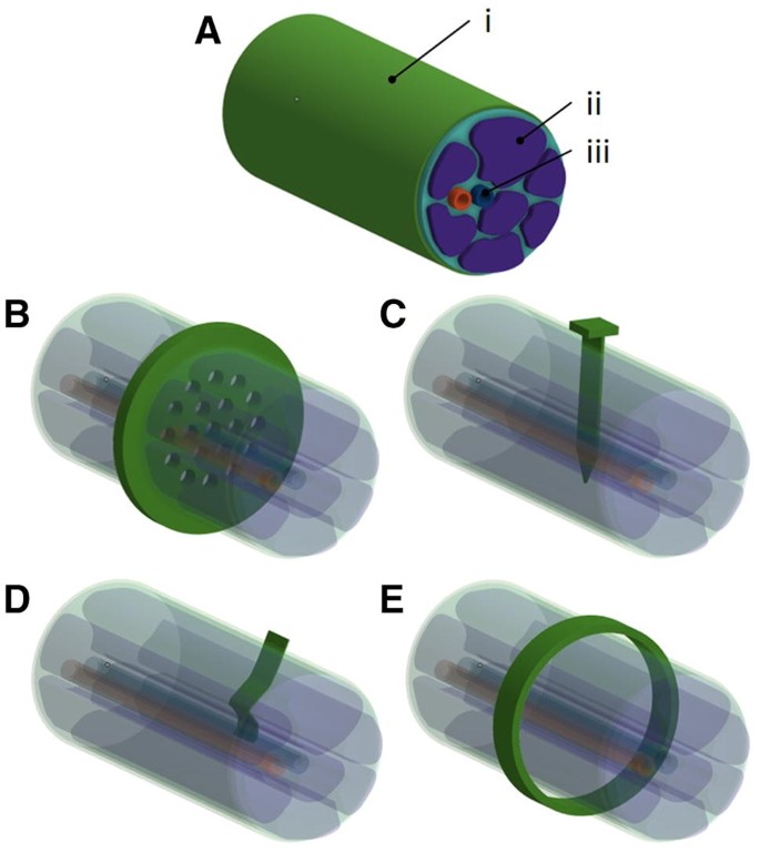 Soft Printable Electrode Coating for Neural Interfaces