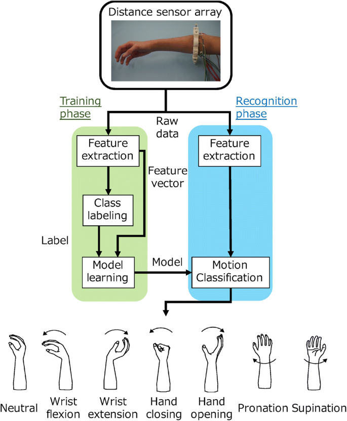 Pronation Supination Medical Term Hand Movement Outline Diagram