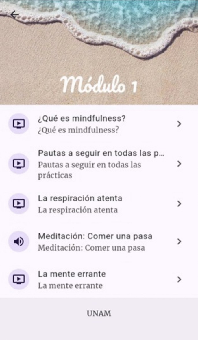 Effects of a Mindfulness-Based Mobile Application for Clinical ...