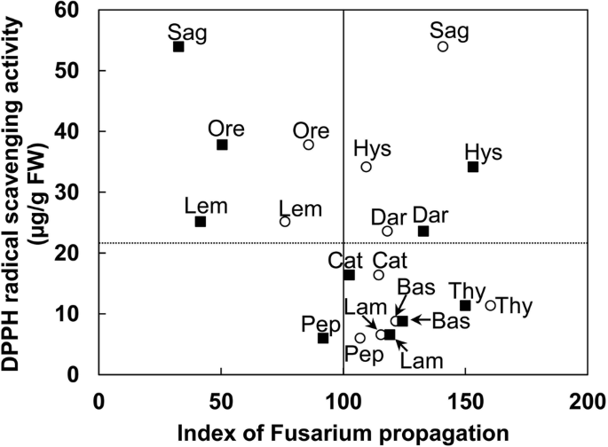Antifungal Effect Of Lamiaceae Herb Water Extracts Against Fusarium Root Rot In Asparagus Springerlink