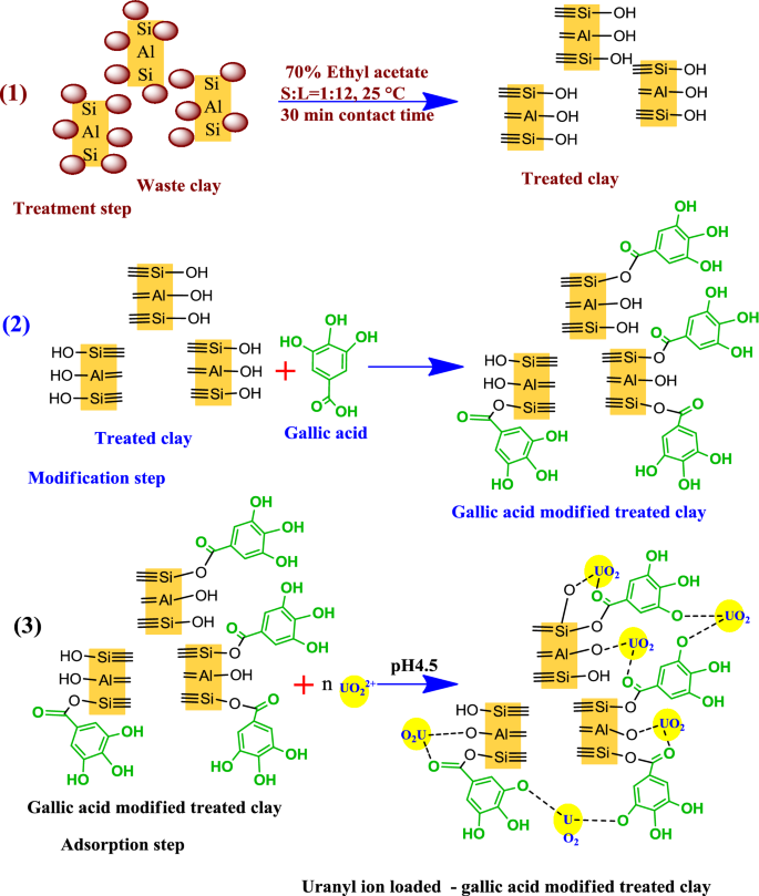 Adsorption Of U Vi From Acid Solution On A Low Cost Sorbent Equilibrium Kinetic And Thermodynamic Assessments Springerlink