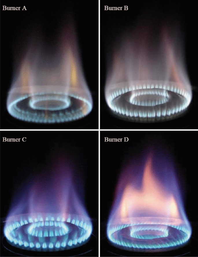 Types of Gas Stove Burners