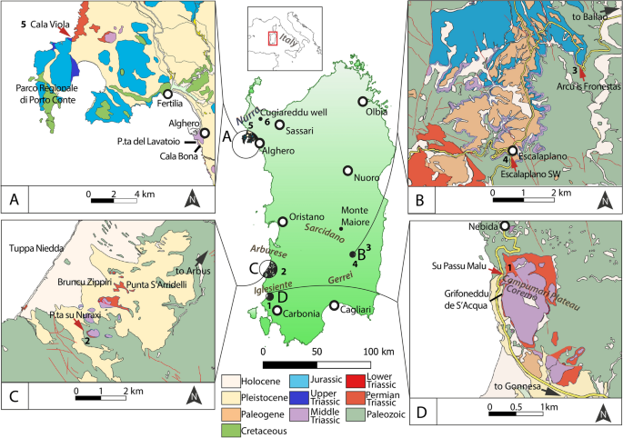 The Anisian continental-marine transition in Sardinia (Italy): state of the  art, new palynological data and regional chronostratigraphic correlation |  Journal of Iberian Geology