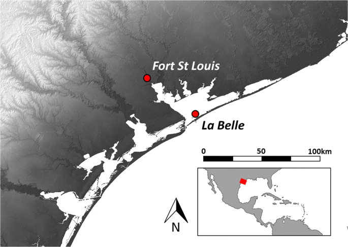 Animal Husbandry And Colonial Adaptive Behavior Isotopic Insights From The La Belle Shipwreck Fauna Springerlink