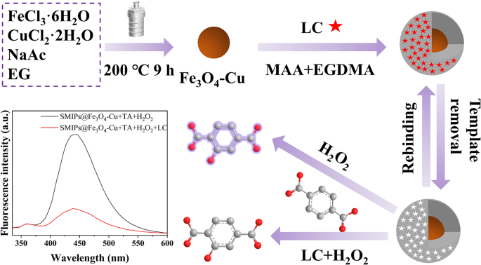 An Innovative Sensing Platform Based on Molecularly Imprinted Nanozymes ...