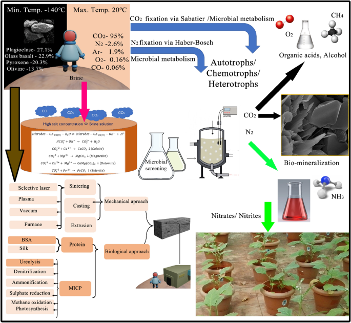 Toward sustainable space exploration: a roadmap for harnessing the power of  microorganisms