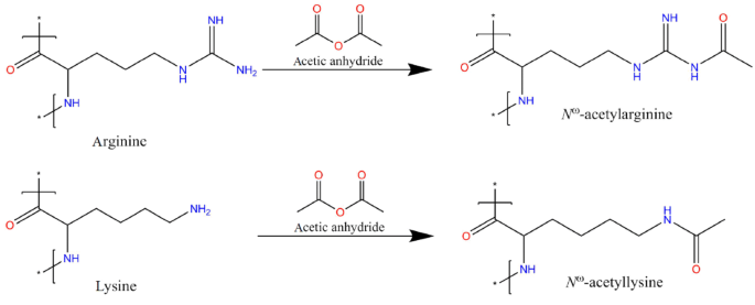 In Vitro Modification Of Bacterial Cyanophycin And Cyanophycin Dipeptides Using Chemical Agents Towards Novel Variants Of The Biopolymer Springerlink In Vitro Modification Of Bacterial Cyanophycin And Cyanophycin Dipeptides Using Chemical Agents Towards Novel Variants Of The Biopolymer Springerlink