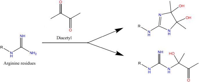 In Vitro Modification Of Bacterial Cyanophycin And Cyanophycin Dipeptides Using Chemical Agents Towards Novel Variants Of The Biopolymer Springerlink