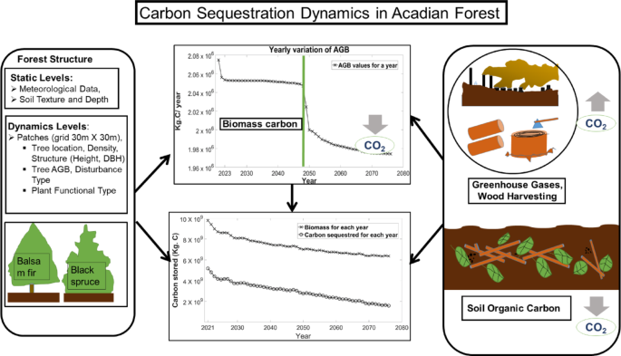 Exploring the Multifaceted Carbon Sequestration Potential of Acadian ...