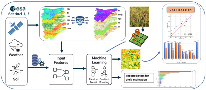 Integration of Multi-Source Remote Sensing Data and Ensemble Machine ...