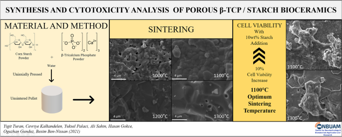 PDF) Development of hydroxiapatite porous bioceramics for use as