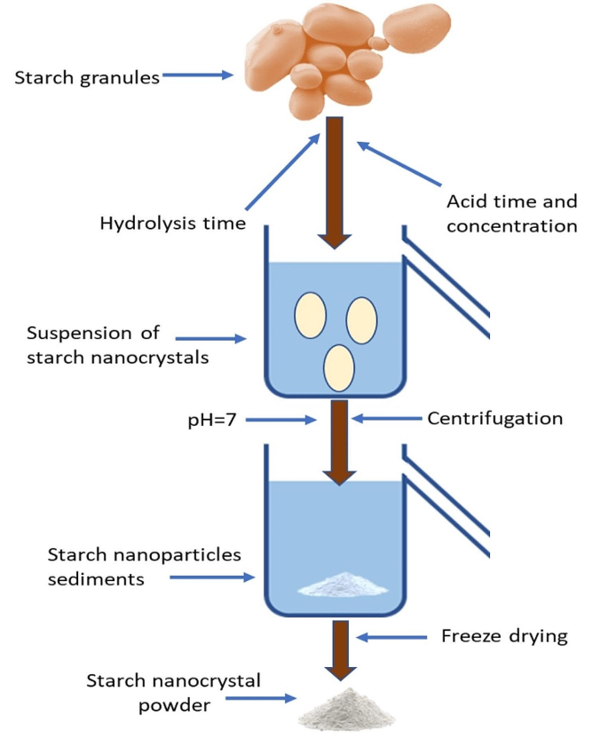 Comprehensive Review on Synthesis of Nano Starch and its Applications ...