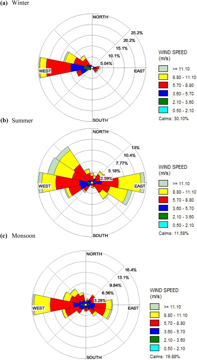 Fine Particulate Matter Bound Polycyclic Aromatic Hydrocarbons And Carbonaceous Species In Delhi S Atmosphere Seasonal Variation Sources And Health Risk Assessment Springerlink