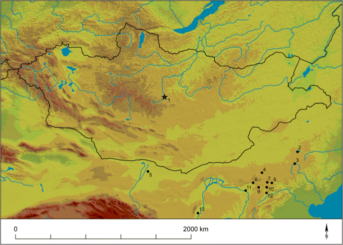 Karakorum, the first capital of the Mongol world empire: an ...