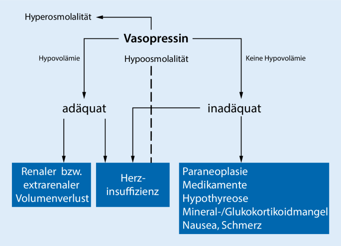 Diabetes mellitus-hypo kóma