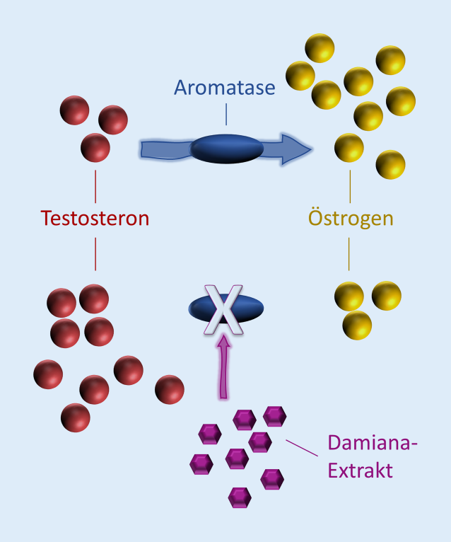 Möchten Sie ein florierendes Geschäft? Konzentrieren Sie sich auf Melanotan 2 10 mg Canada Peptides!