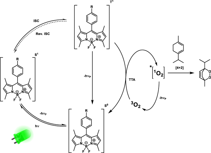 scheme 6