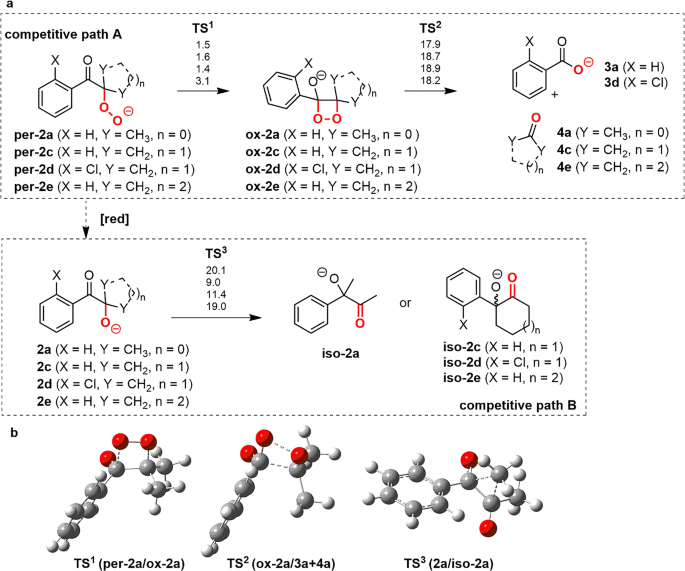 Metal Free Hydroxylation Of Tertiary Ketones Under Intensified And Scalable Continuous Flow Conditions Springerlink