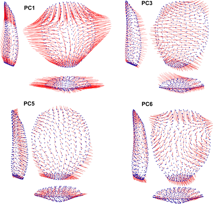 figure 9