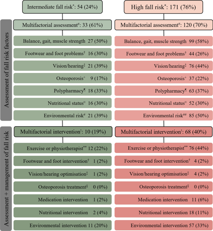 Falls Risk Matrix Falls prevention and management for older adults in home care services ...