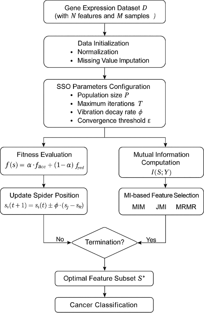 Social spider optimization with mutual information for high-accuracy ...