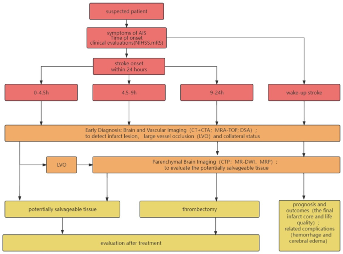 Artificial intelligence in workflow optimization of acute ischemic ...