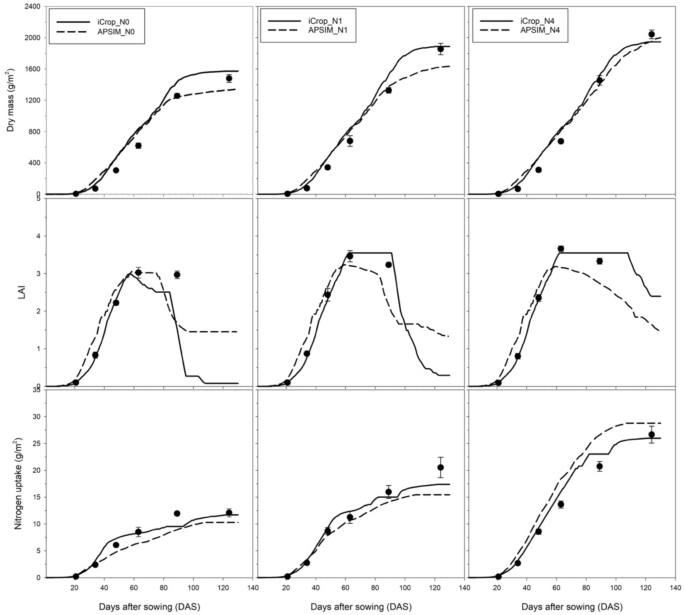 apsim model phyllochron rate sensitivity