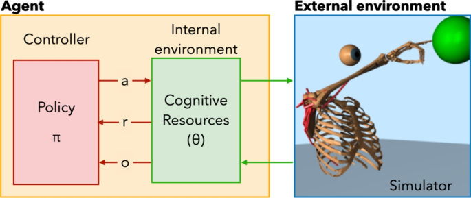 research human behavior examples figure 1