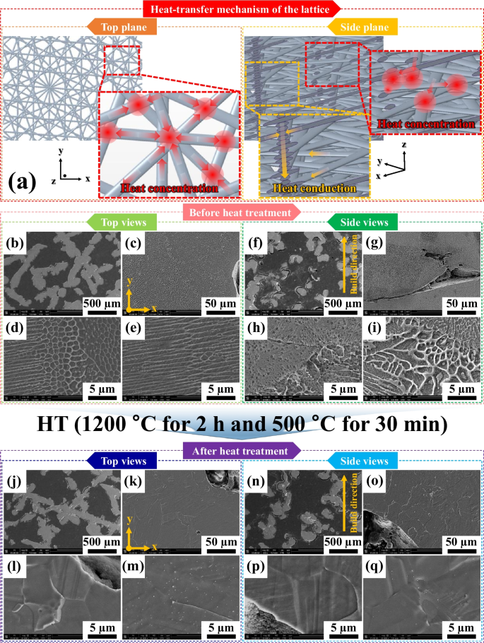 Meta-structure of amorphous-inspired 65.1Co28.2Cr5.3Mo lattices ...