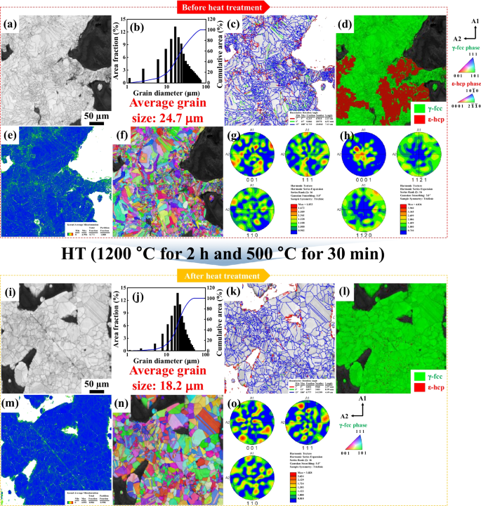 Meta-structure of amorphous-inspired 65.1Co28.2Cr5.3Mo lattices ...