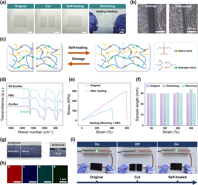 Autonomous self-healing and stretchable triboelectric nanogenerator ...