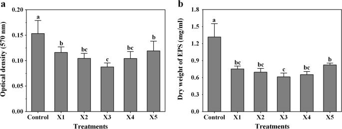 Identification And Characterization Of Five New Op2 Related Myoviridae Bacteriophages Infecting Different Strains Of Xanthomonas Oryzae Pv Oryzae Springerlink