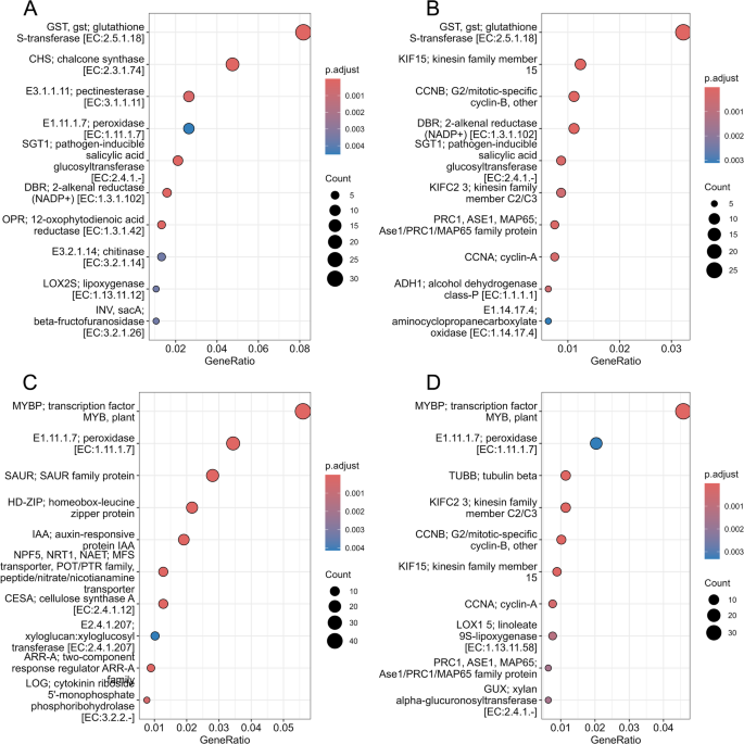 cjc 1295 and ipamorelin mechanism of action Pharmacological Insights into the Ipamorelin & CJC-1295 Blend