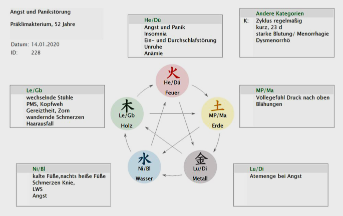 Angst Und Panik Ganzheitliche Musterdiagnose Nach Traditioneller Chinesischer Medizin Springerlink