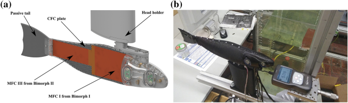 A Design Concept and Kinematic Model for a Soft Aquatic Robot with Complex  Bio-mimicking Motion