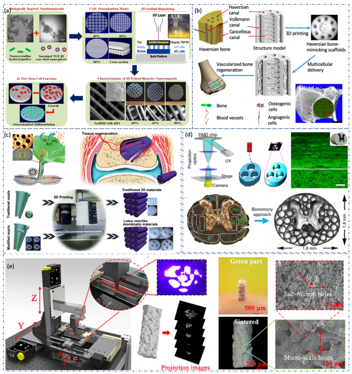 3D printing biomimetic materials and structures for biomedical 