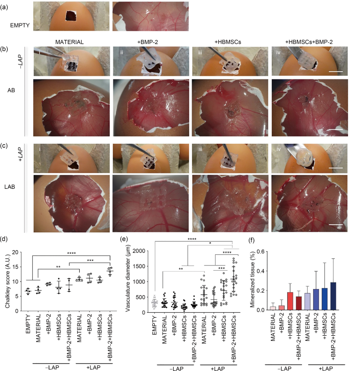 biofabrication-of-nanocomposite-based-scaffolds-containing-human-bone-extracellular-matrix-for-the-differentiation-of-skeletal-stem-and-progenitor-cells-bio-design-and-manufacturing for Light S Retention Scale Scoring Guide Free Printable Biofabrication of nanocomposite-based scaffolds containing human bone extracellular matrix for the differentiation of skeletal stem and progenitor cells | Bio-Design and Manufacturing for Light S Retention Scale Scoring Guide Free Printable