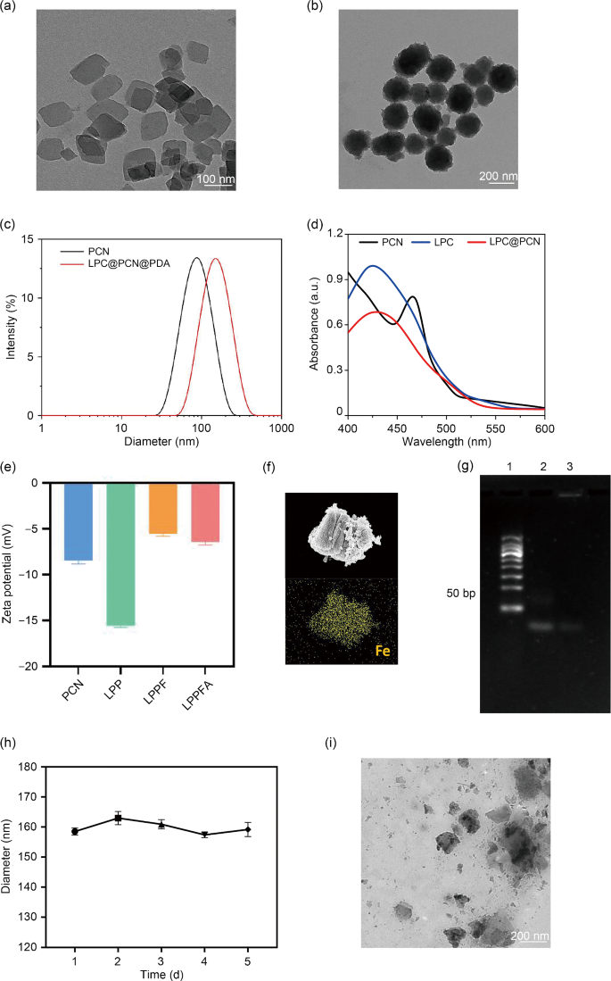 Light/pH dual controlled drug release "nanocontainer" alleviates tumor