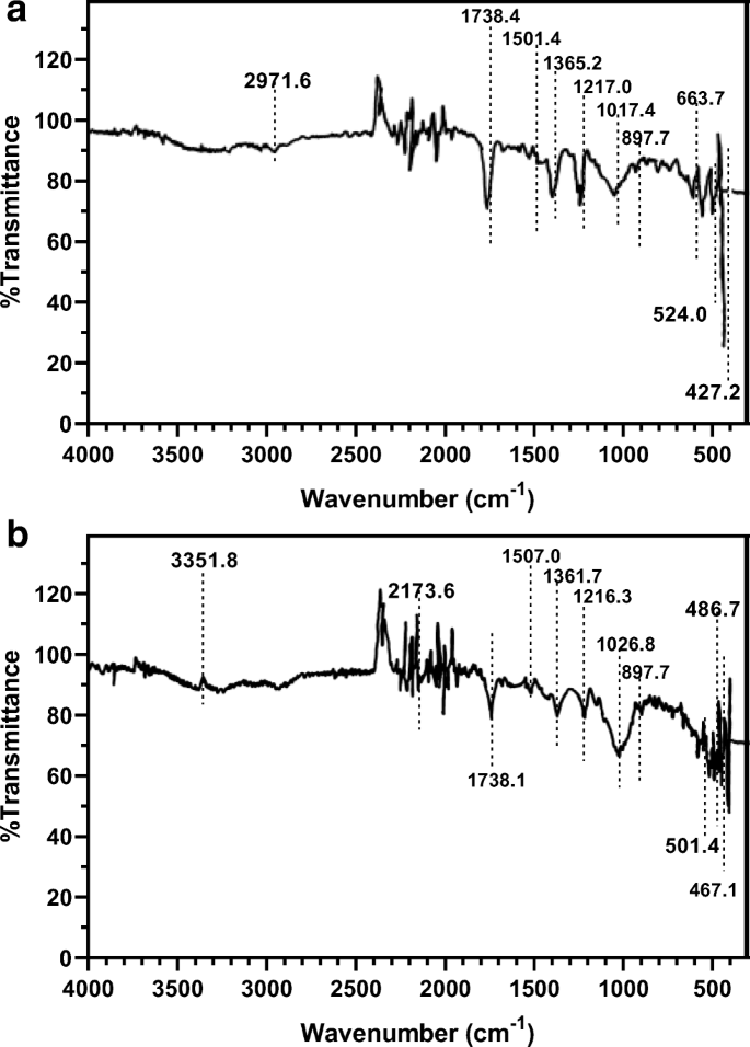 Removal Of Copper Ions From Aqueous Solution Using Naoh Treated Rice Husk Springerlink