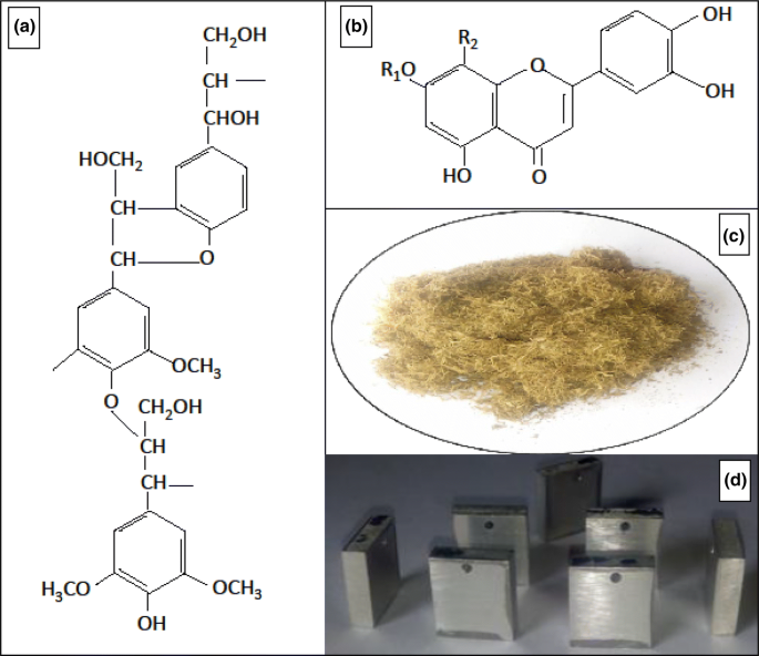 Newbouldia Laevis Leaves Extract As Tenable Eco Friendly Corrosion Inhibitor For Aluminium Alloy Aa7075 T7351 In 1 M Hcl Corrosive Environment Gravimetric Electrochemical And Thermodynamic Studies Springerlink
