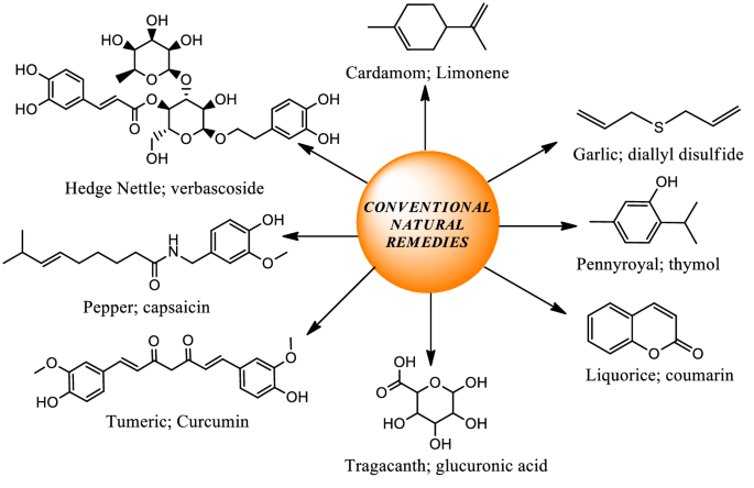 Natural And Synthetic Drugs As Potential Treatment For Coronavirus Disease 2019 Covid 2019 Springerlink