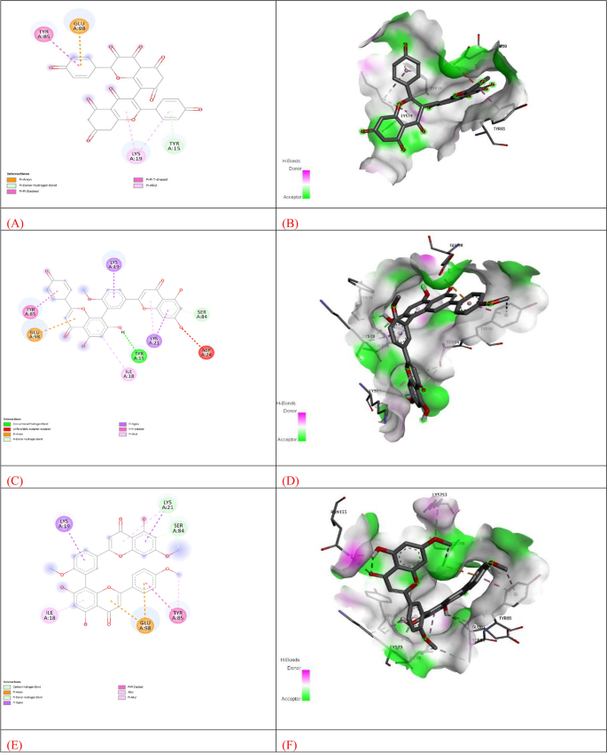 figure 15