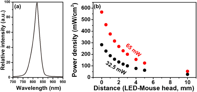 Photobiomodulation Therapy In Mice With Chronic Cerebral Hypoperfusion Using Application Specific Near Infrared Light Emitting Diode System Springerlink